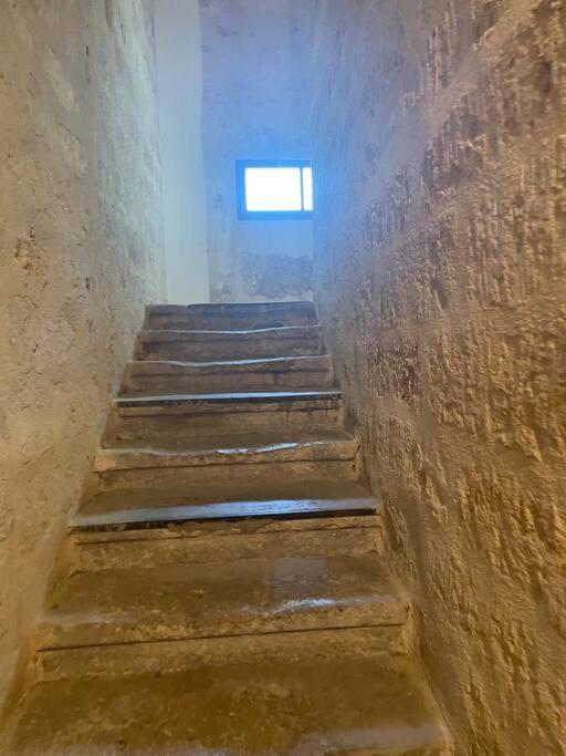 Appartement Cosy Au Coeur De L'Ecusson Montpellier Zewnętrze zdjęcie