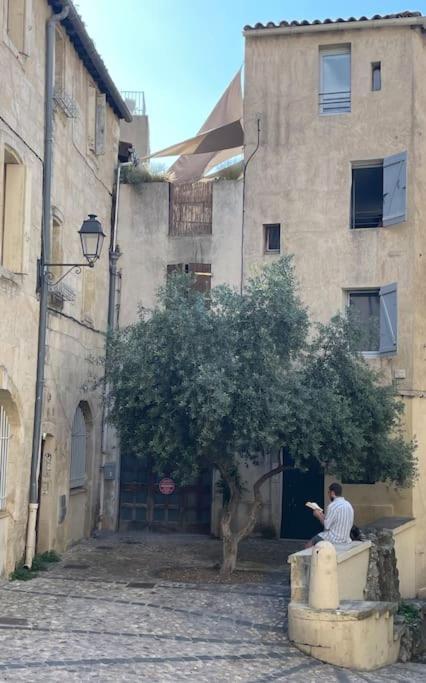 Appartement Cosy Au Coeur De L'Ecusson Montpellier Zewnętrze zdjęcie